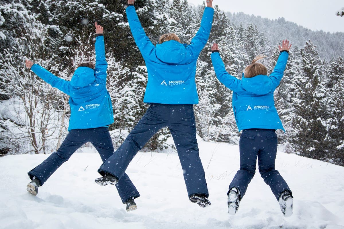 The Arinsal team