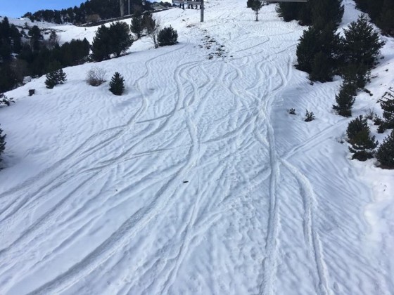Fresh tracks in the snow