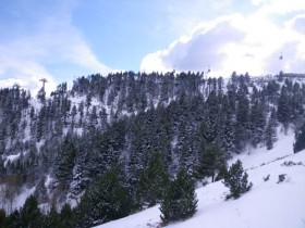 View from the Crest chair lift - 4/3/2011