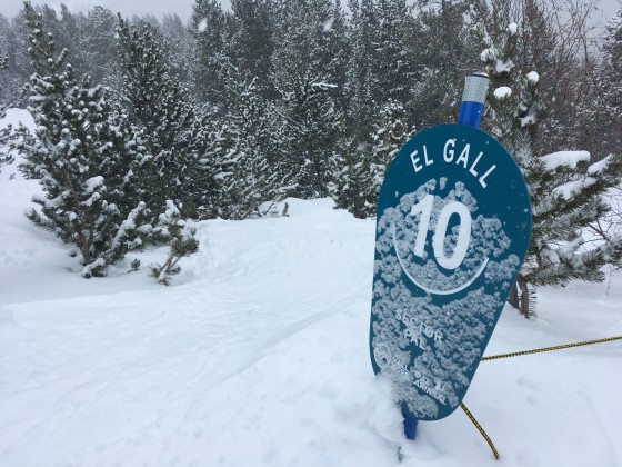 El Gall was our favourite run of the day