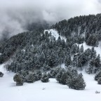 The Arinsal gondola was looking stunning today with the snowfall