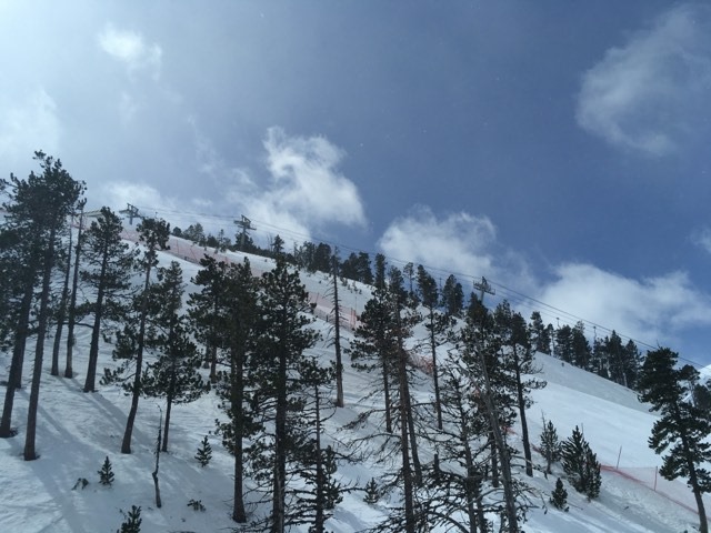 View of the Seturia chairlift behind the trees