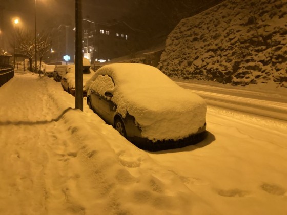 The cars were buried in snow