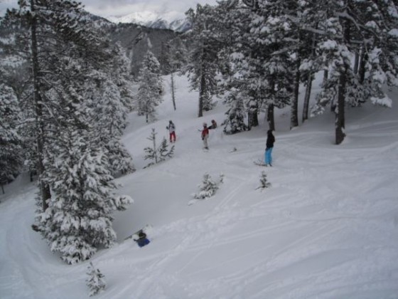 Off piste in the trees 19/01