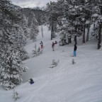 Off piste in the trees 19/01