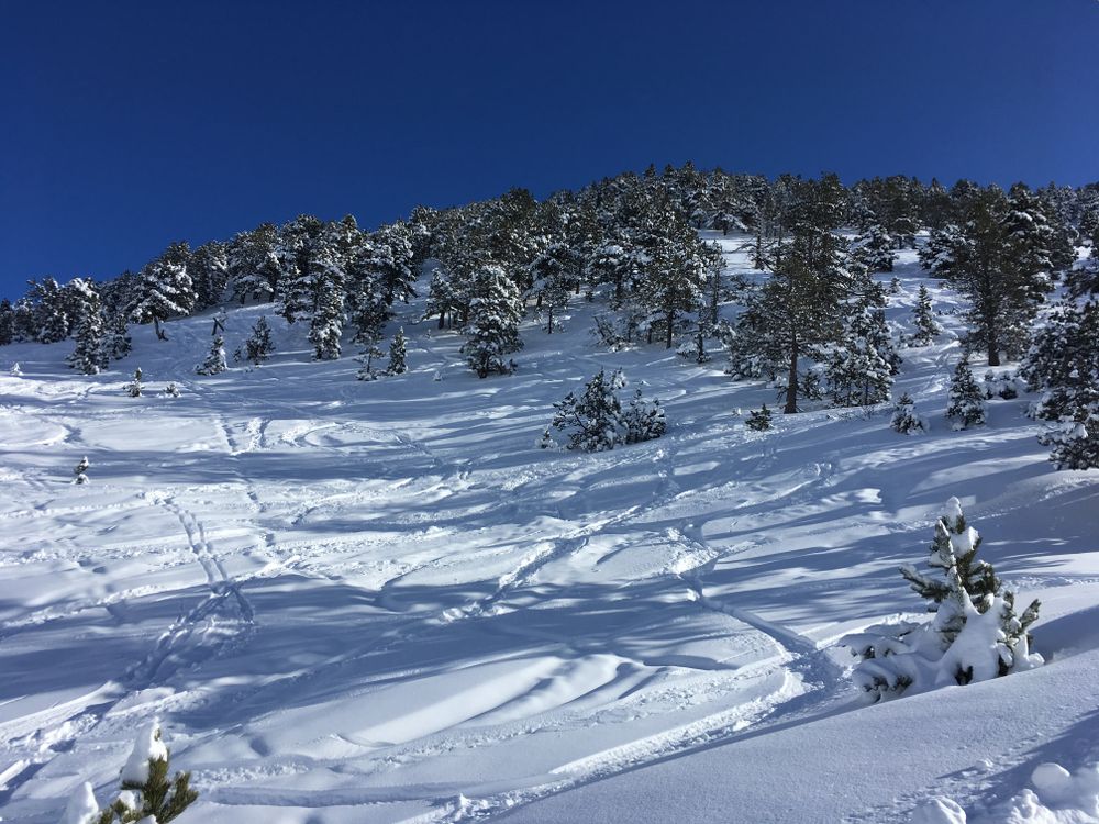 Off-piste in Arcalís was amazing with powder snow everywhere
