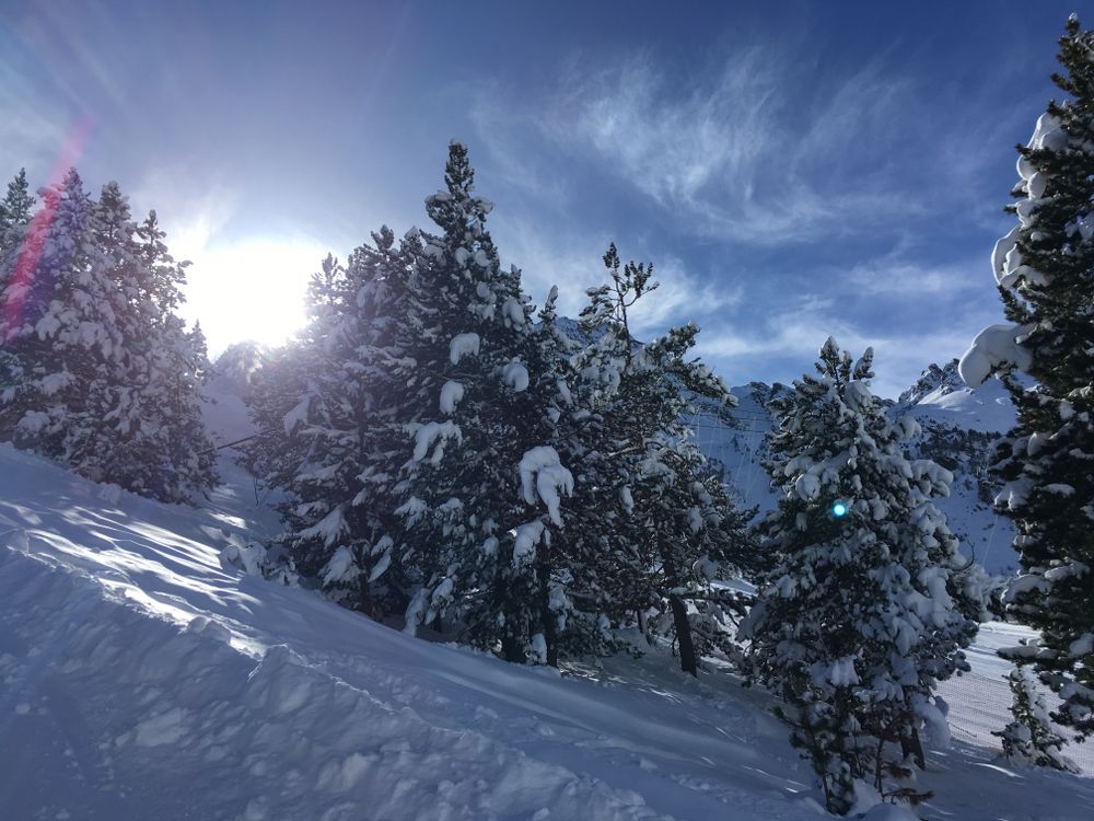 Mountain, sun, trees and snow, what else do you need?