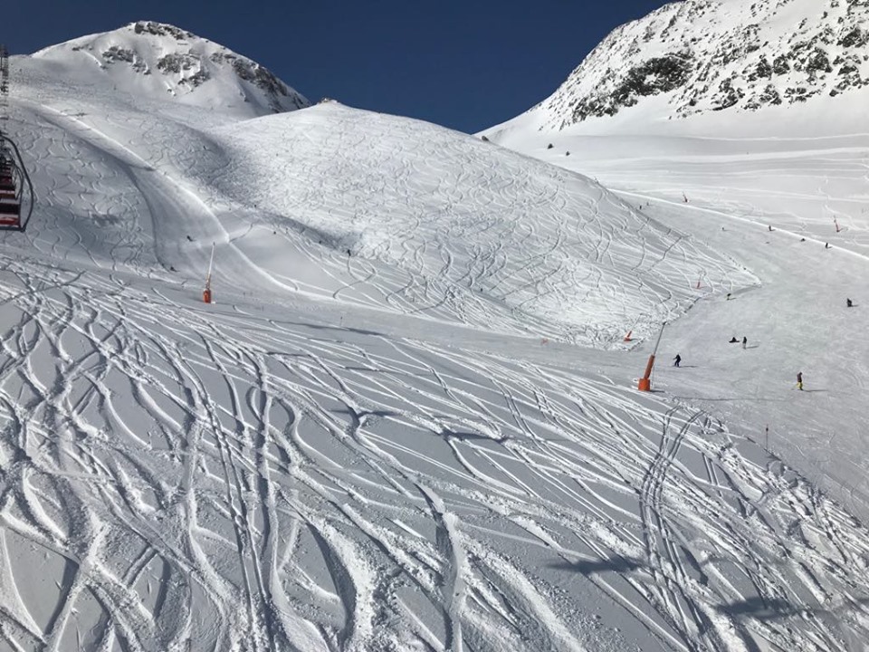 Everyone seems to be loving a bit of off-piste today!