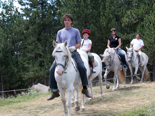 Horse Riding In Vallnord