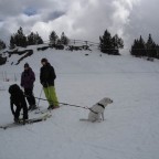 Just taking the dog for a ....ski 11/03