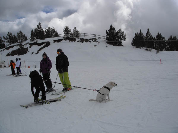 Just taking the dog for a ....ski 11/03
