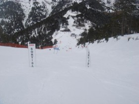 Slalom Course