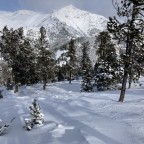 Fresh snow was accumulated around the forests of Pal