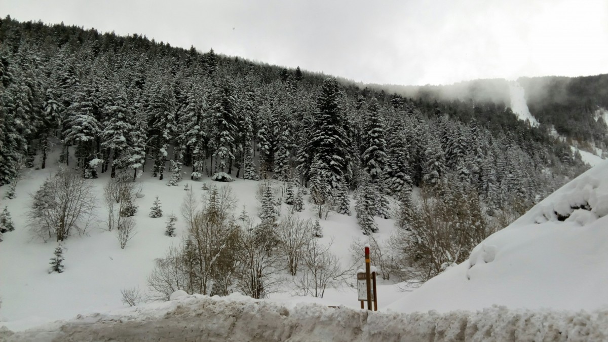 Up to 220cm of snow in Arinsal