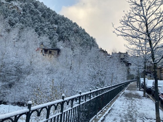 Walking around the village was beautiful after the snowfall