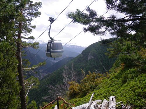 Gondola Above the Woods