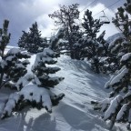 The trees of Arcalis were coverng by fresh snow