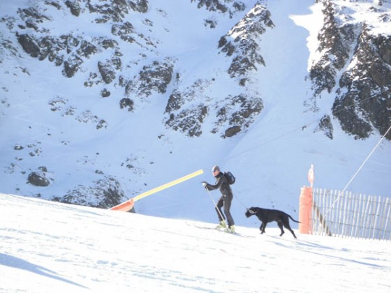 Dogs love the slopes too 05/01/13