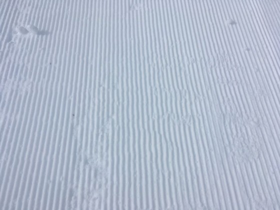 We love skiing on untouched runs