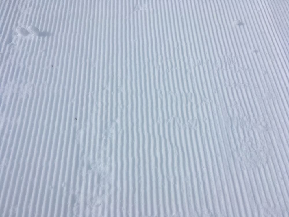 We love skiing on untouched runs