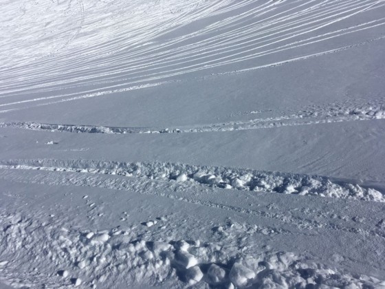 The quality of the snow was powder with up to 155 cm of snow on the slopes