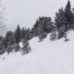 The off-piste among the trees of Arinsal was great today